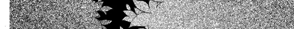 Read God Says! chapter 24 image 1 on Lezhin