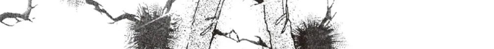 Read God Says! chapter 26 image 37 on Lezhin