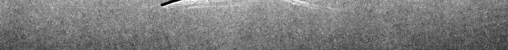 Read God Says! chapter 37 image 55 on Lezhin