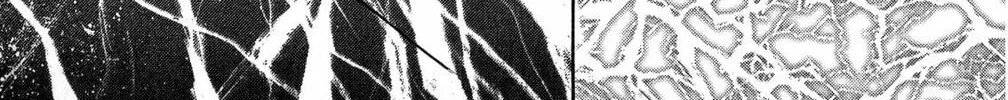 Read God Says! chapter 43 image 1 on Lezhin