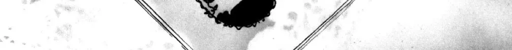 Read God Says! chapter 6 image 7 on Lezhin