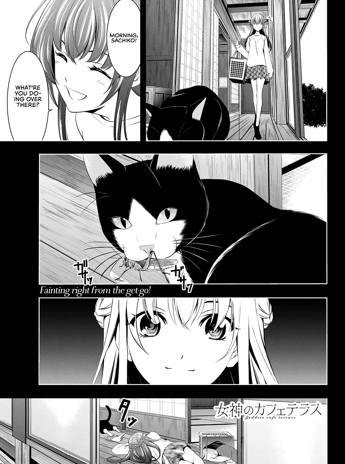 Read Goddess Café Terrace chapter 46 image 1 on Lezhin