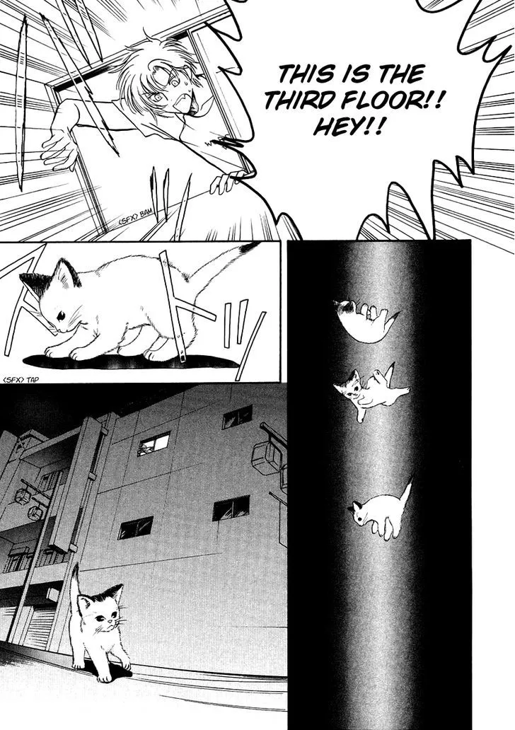 Gohou Drug Chapter 6 page 33 - 