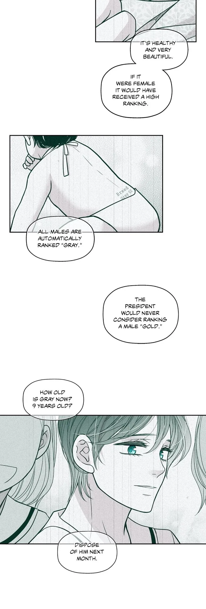 Read Gold Gray chapter 59 image 23 on Lezhin