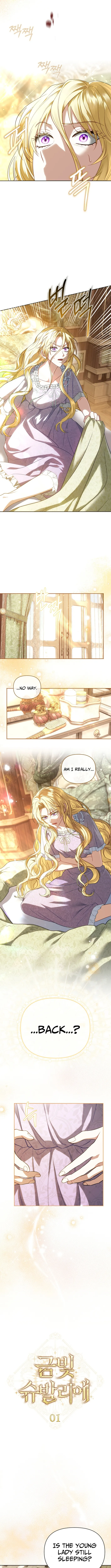 Read Golden Chevalier chapter 1 image 9 on Lezhin