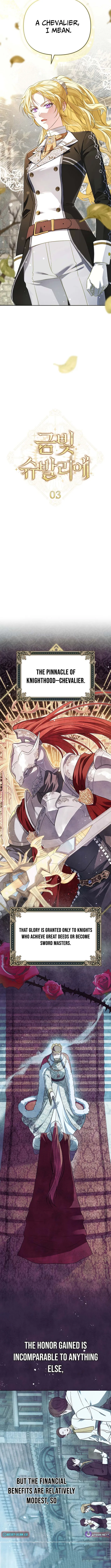 Read Golden Chevalier chapter 3 image 3 on Lezhin