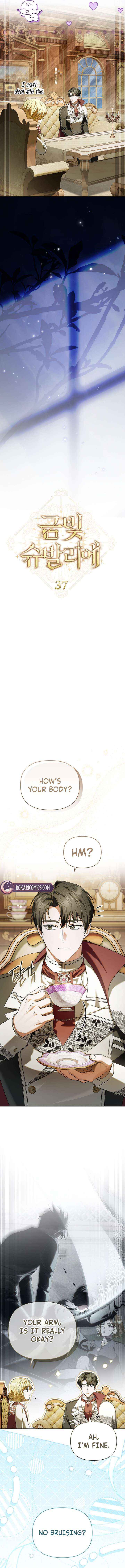 Read Golden Chevalier chapter 37 image 4 on Lezhin