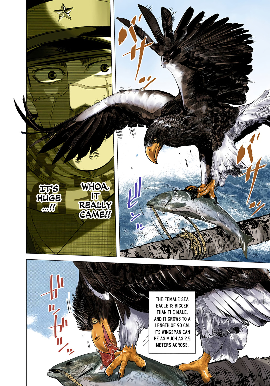 Read Golden Kamuy (Colored) chapter 32 image 8 on Lezhin