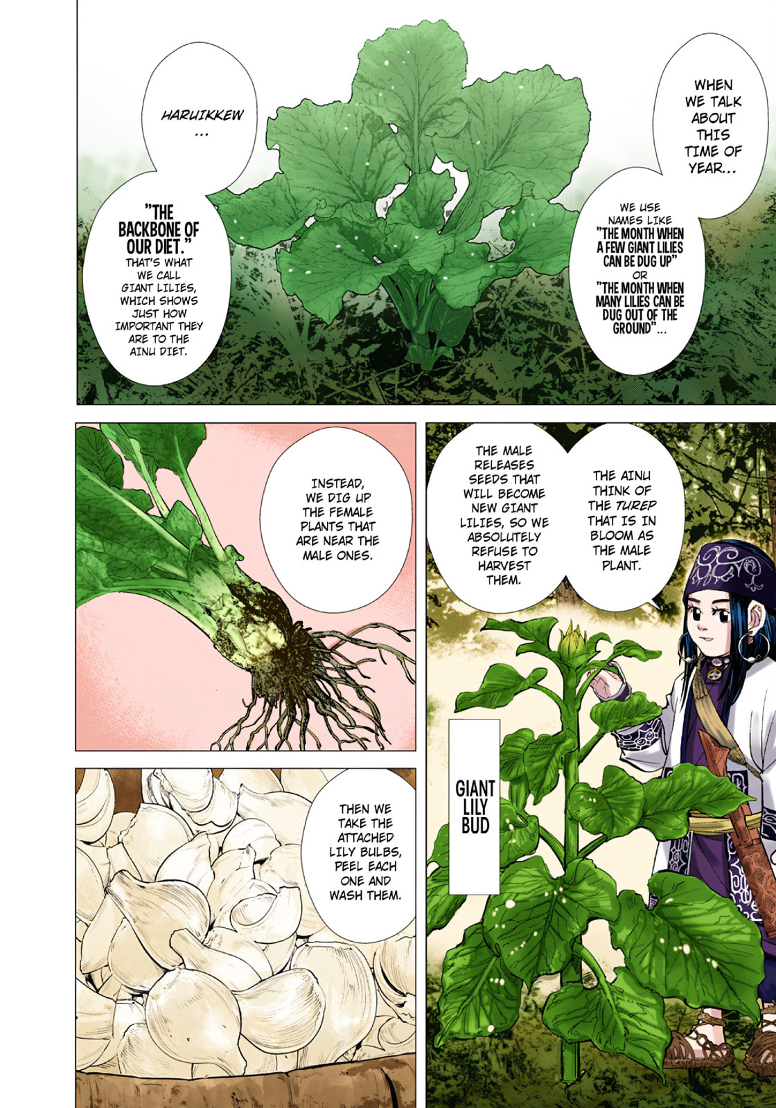 Read Golden Kamuy (Colored) chapter 91 image 9 on Lezhin