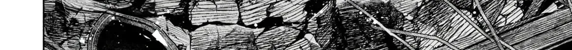 Read Golden Man chapter 2.1 image 35 on Lezhin