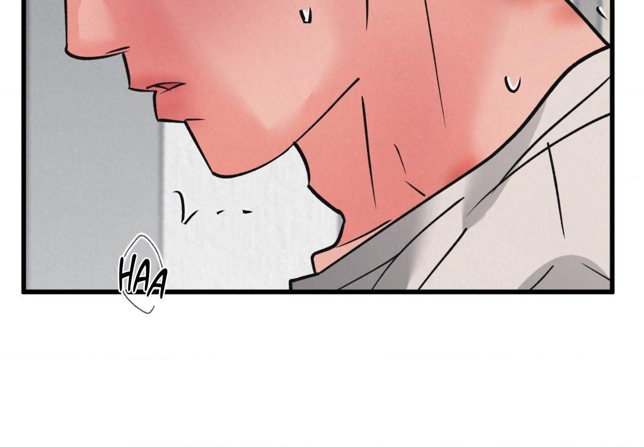 Read Golden Pair | Craeyon chapter 55 image 5 on Lezhin
