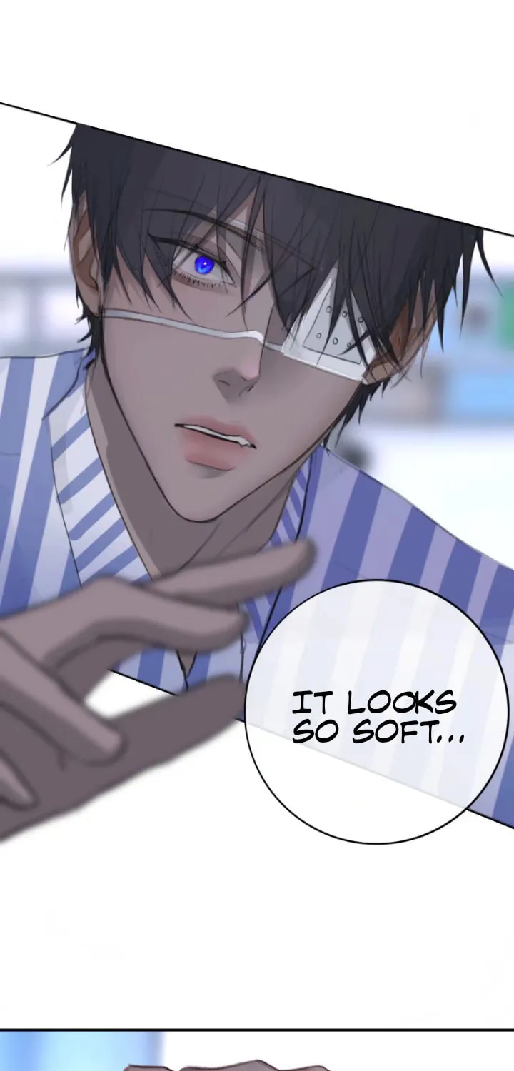 Golden Wire Cage Chapter 10 page 5 - 
