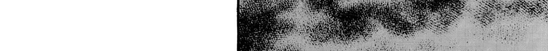 Read Golgo 13 chapter 13 image 121 on Lezhin