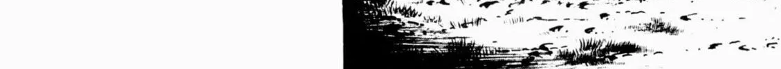 Read Golgo 13 chapter 140 image 91 on Lezhin