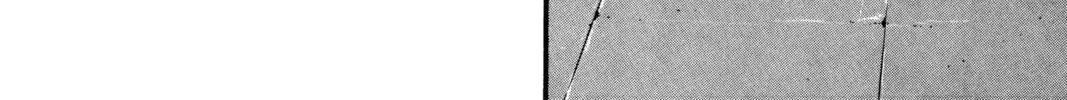Read Golgo 13 chapter 7 image 121 on Lezhin
