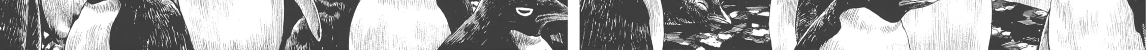 Read GON Selection chapter 1 image 13 on Lezhin