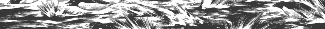 Read GON Selection chapter 1 image 21 on Lezhin