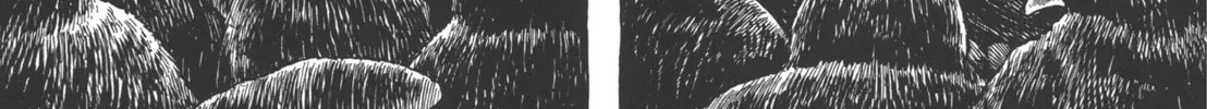 Read GON Selection chapter 1 image 25 on Lezhin