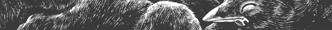 Read GON Selection chapter 1 image 27 on Lezhin