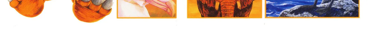 Read GON Selection chapter 1 image 3 on Lezhin