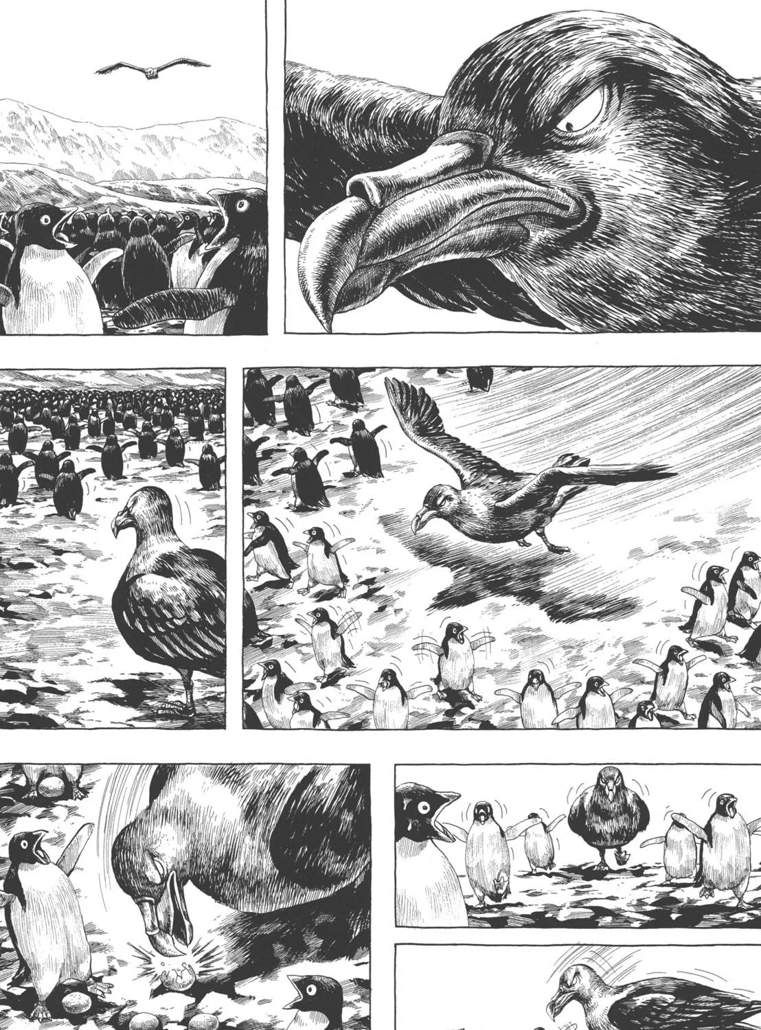 Read GON Selection chapter 1 image 38 on Lezhin