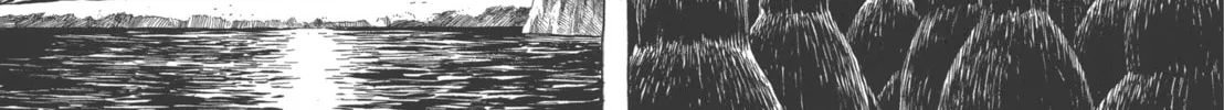 Read GON Selection chapter 1 image 45 on Lezhin