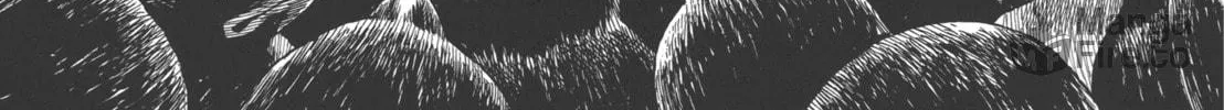 Read GON Selection chapter 1 image 69 on Lezhin