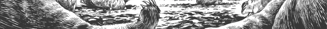 Read GON Selection chapter 2 image 13 on Lezhin