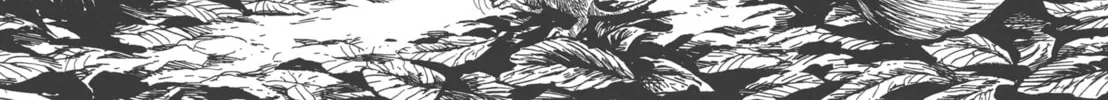 Read GON Selection chapter 2 image 15 on Lezhin