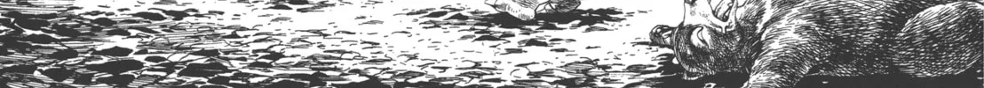 Read GON Selection chapter 2 image 21 on Lezhin