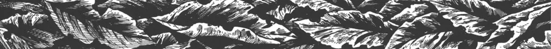 Read GON Selection chapter 2 image 3 on Lezhin