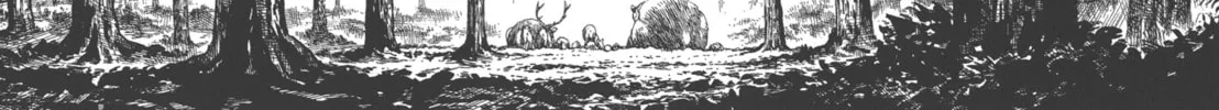 Read GON Selection chapter 2 image 31 on Lezhin