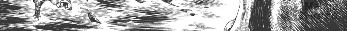 Read GON Selection chapter 2 image 39 on Lezhin