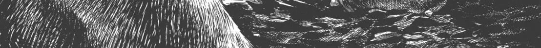 Read GON Selection chapter 2 image 45 on Lezhin
