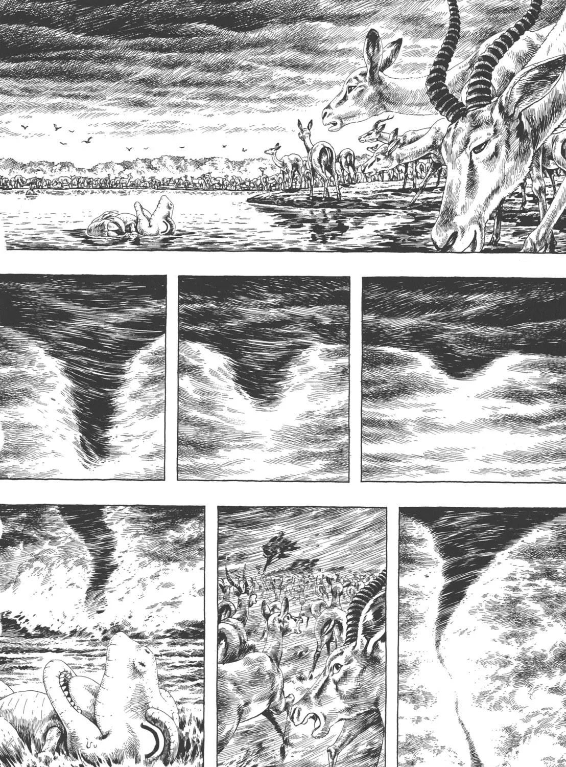 Read GON Selection chapter 3 image 4 on Lezhin