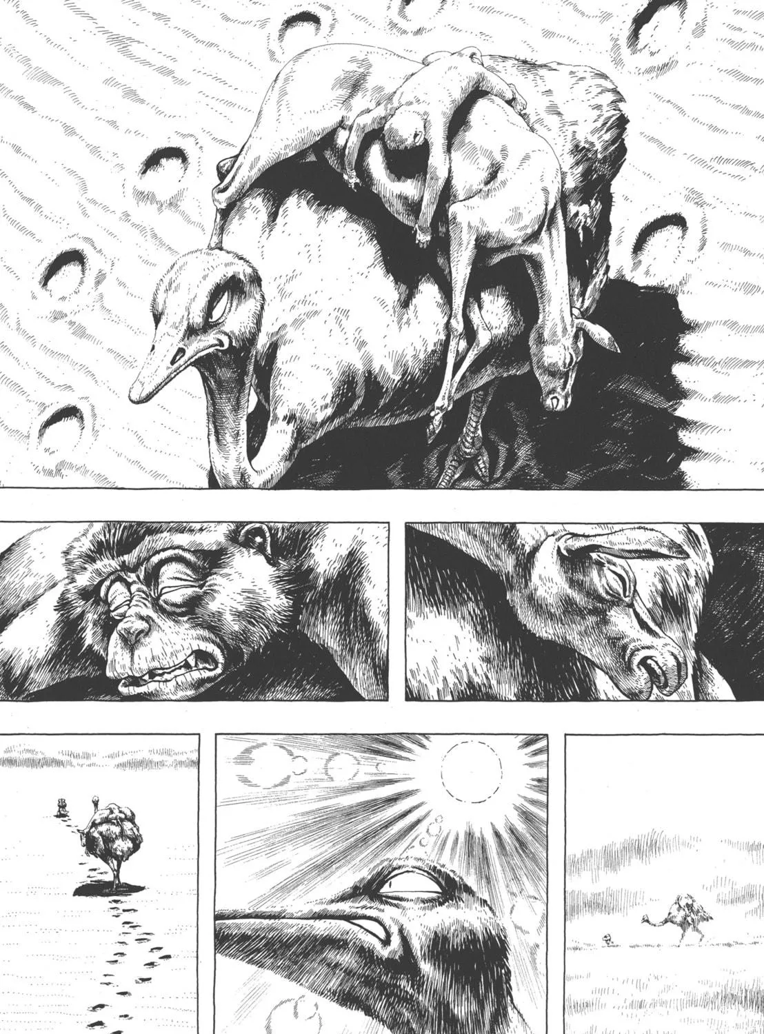 Read GON Selection chapter 3 image 48 on Lezhin