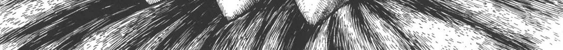 Read GON Selection chapter 3 image 51 on Lezhin