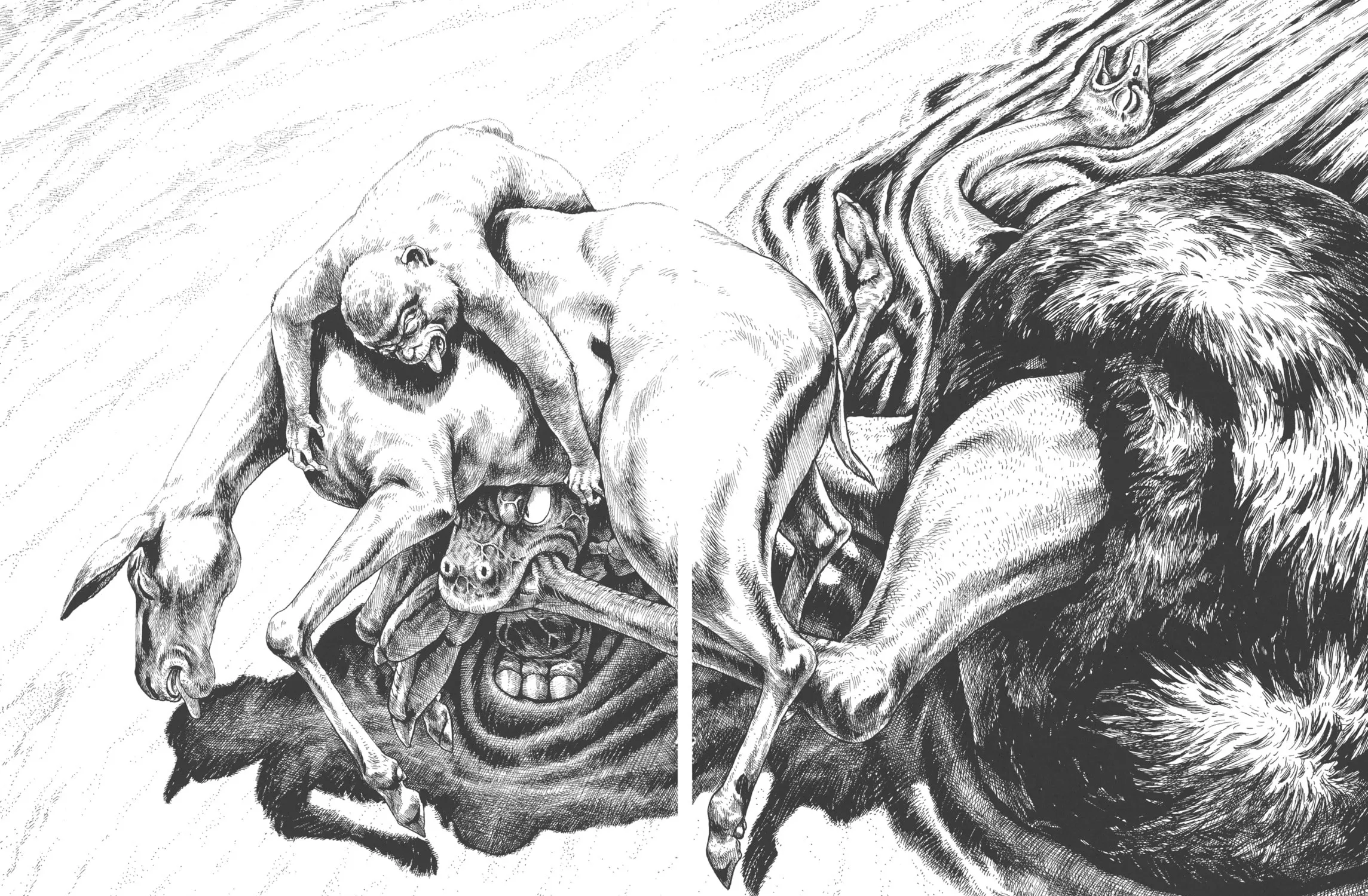Read GON Selection chapter 3 image 52 on Lezhin