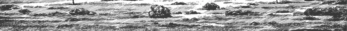 Read GON Selection chapter 3 image 7 on Lezhin