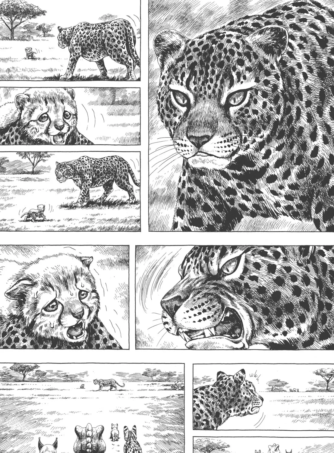 Read GON Selection chapter 4 image 12 on Lezhin