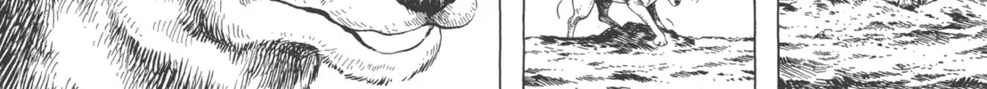 Read GON Selection chapter 4 image 25 on Lezhin