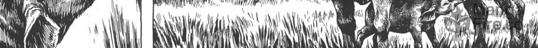 Read GON Selection chapter 4 image 35 on Lezhin