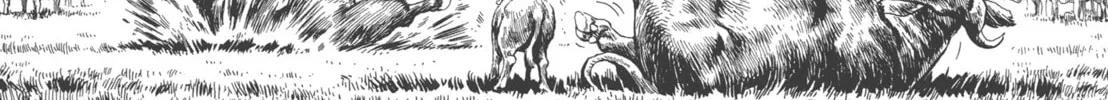 Read GON Selection chapter 4 image 37 on Lezhin
