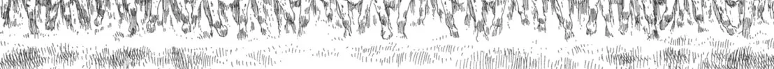 Read GON Selection chapter 4 image 45 on Lezhin