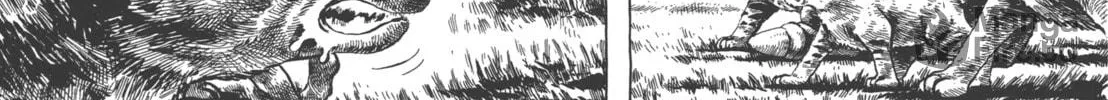 Read GON Selection chapter 4 image 47 on Lezhin
