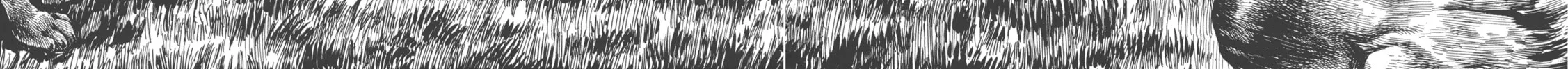 Read GON Selection chapter 4 image 53 on Lezhin
