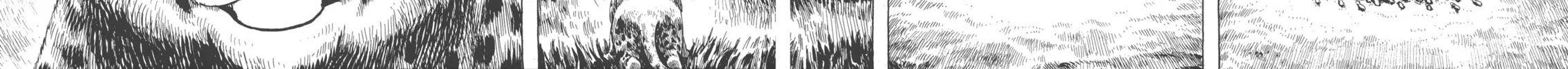 Read GON Selection chapter 4 image 55 on Lezhin