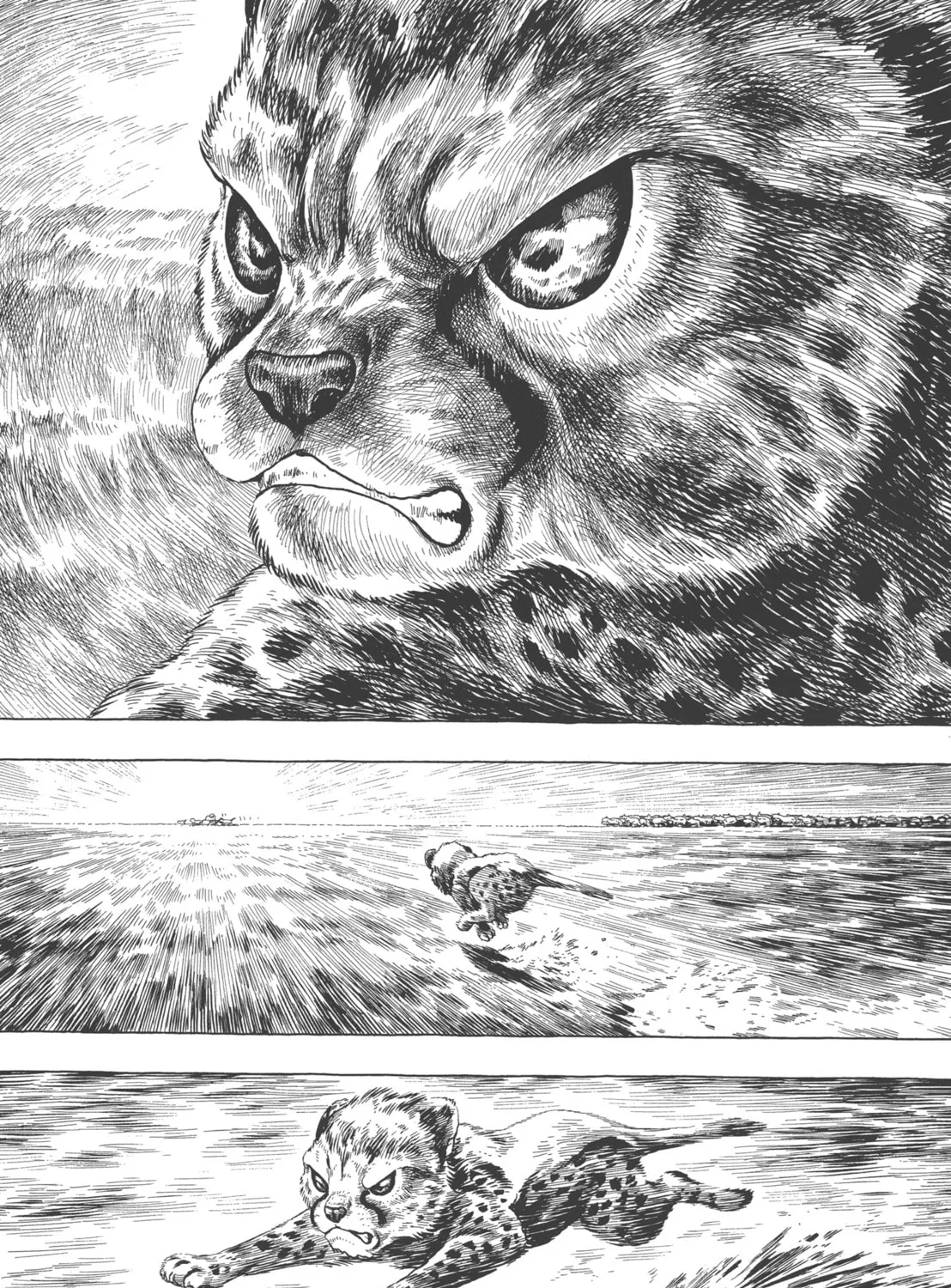 Read GON Selection chapter 4 image 56 on Lezhin