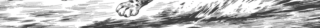 Read GON Selection chapter 4 image 57 on Lezhin