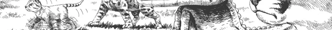 Read GON Selection chapter 4 image 7 on Lezhin